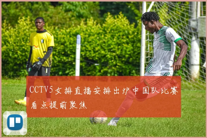 CCTV5女排直播安排出炉中国队比赛看点提前聚焦