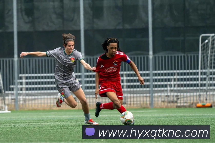 App Interface Preview