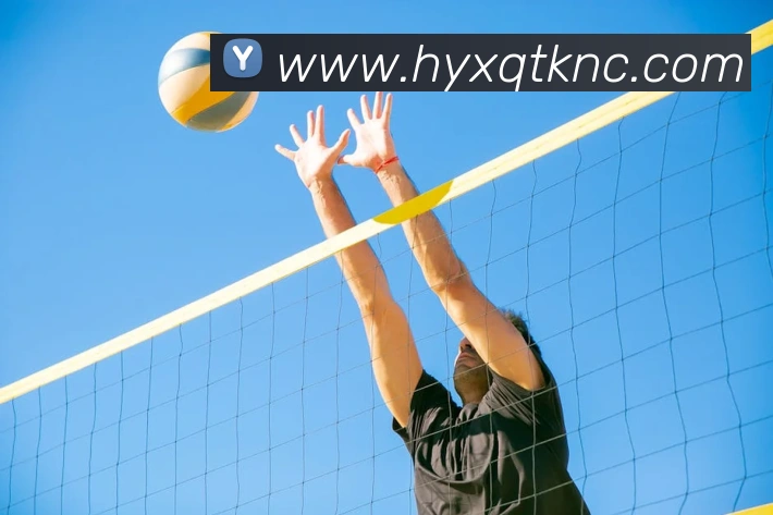 开云app在线入口APP 封面图